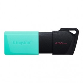 KINGSTON PENDRIVE 256GB USB 3.2 BK/GREEN