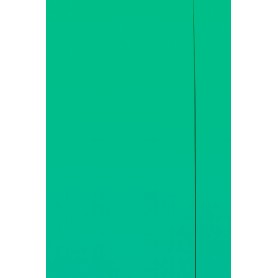 CART.CON ELASTICO. 26X34 VERDE