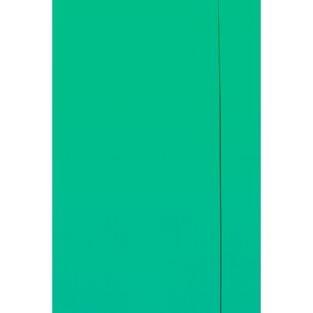 CART.CON ELASTICO. 26X34 VERDE