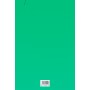 CART.CON ELASTICO. 26X34 VERDE