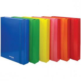 CART.3/L ELASTICO PIATTO 25X35 D3 ASS.TE
