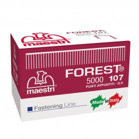 PUNTI 107 DA 5000 PUNTI ROMEO MAESTRI