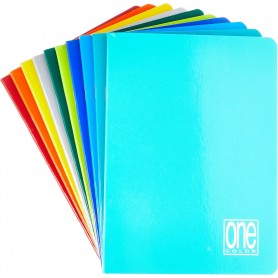 A5 ONE COLOR FSC80 20+1F 0B BLASETTI