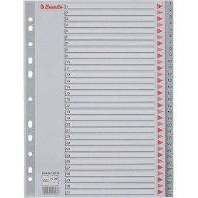 DIVISORI RUBRICA CON TASTI 1-31, IN A4