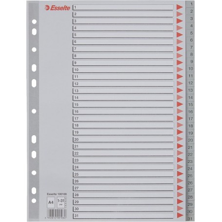 DIVISORI RUBRICA CON TASTI 1-31, IN A4